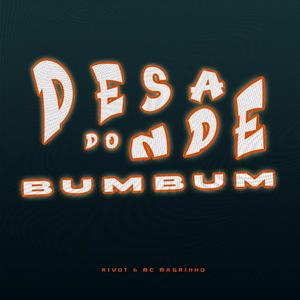 Desande do Bumbum (Explicit)