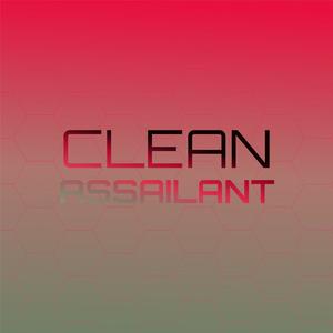 Clean Assailant