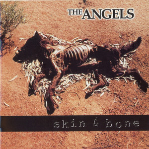 Skin And Bone