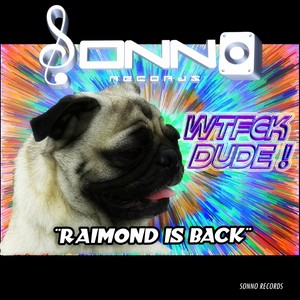 Raimond Is Back (Original Mix)