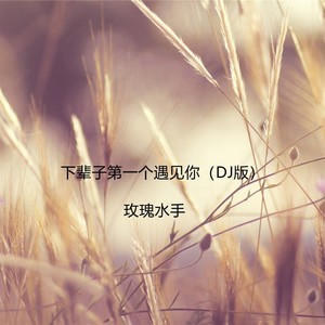 下辈子第一个遇见你 (DJ版)