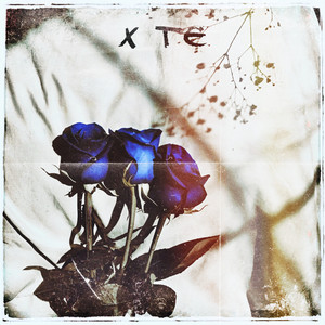 X TE (Explicit)