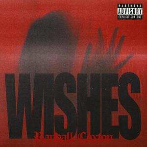 Wishes (Explicit)