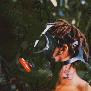 Bob na Voz (Explicit)