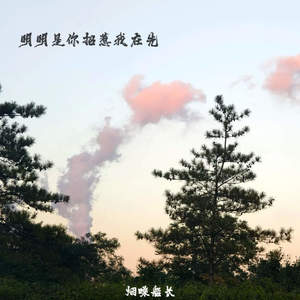 明明是你招惹我在先