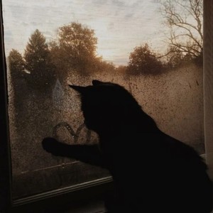 money over hoes (Explicit)