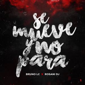 Se Mueve y No Para (feat. Rosani DJ) (Explicit)