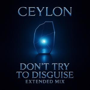 don't try to disguise (extended mix)