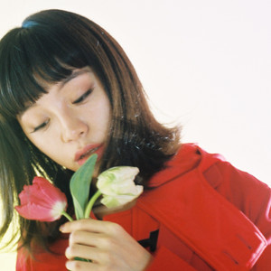 チューリップ (郁金香)