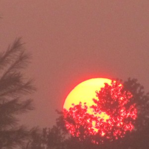 Good Morning, Good Afternoon