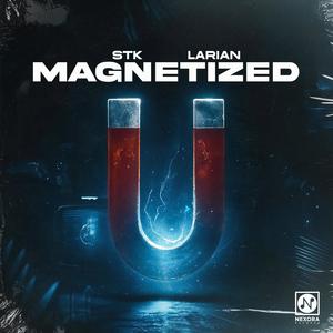 Magnetized