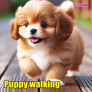 Puppy walking