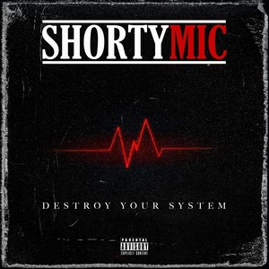 Destroy Your System (Explicit)