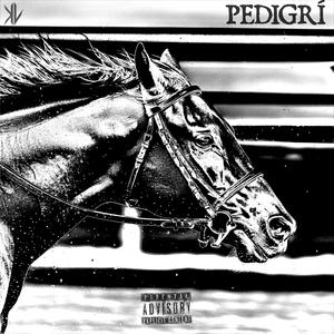 PEDIGRÍ (Explicit)