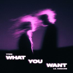 What You Want