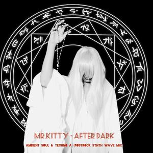 Mr.Kitty (After Dark (post rock-synthwave) (feat. Ambient Soul)