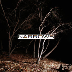 Narrows