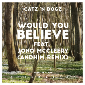 Would You Believe feat. Jono McCleery(andhim Remix)