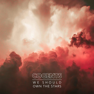 We Should Own the Stars