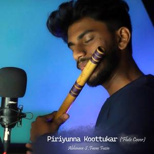 Priyunnu Kuttukkar (Flute cover) (feat. Abhinave s)