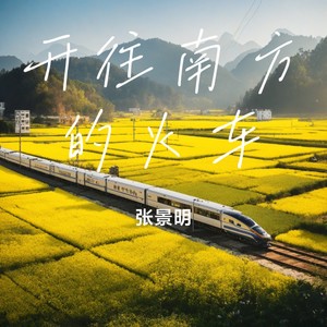 开往南方的火车