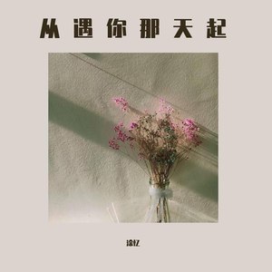 从遇你那天起