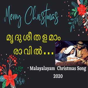 Mridhu Sheethalamam - Malayalam Christmas Song(with. Sibin S S &  V4 Violin)