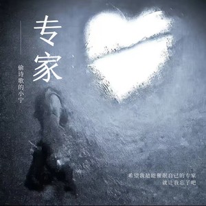 专家
