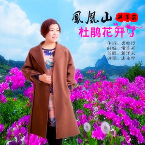 凤凰山杜鹃花开了