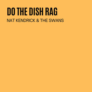 Do The Dish Rag