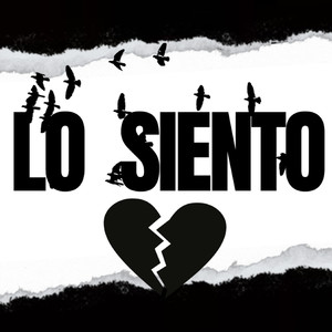 Lo Siento