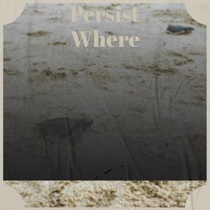 Persist Where