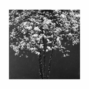 In Da Thirty-three St