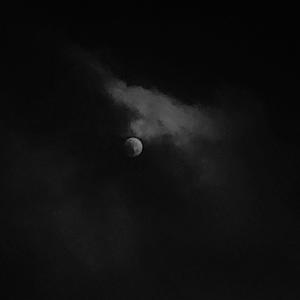 i'll be fine imovedonthewiththerestofmylife