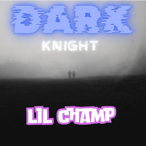 Dark Knight (feat. tezzadotprod)