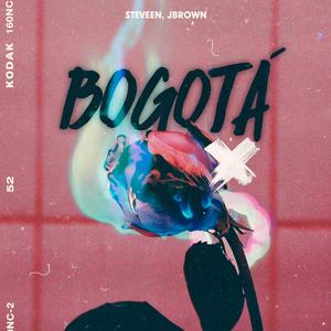 Bogota (feat. J Brown) [Explicit]