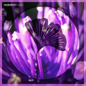 Jameela (Extended Mix)