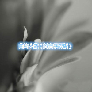 金锦枫 - 一言难尽