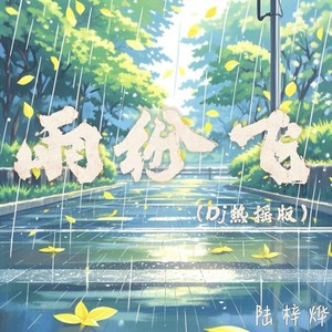 雨纷飞 (DJ热摇版)封面