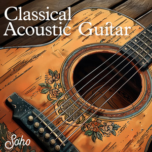 Classical Acoustic Guitar