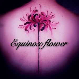 Equinox Flower