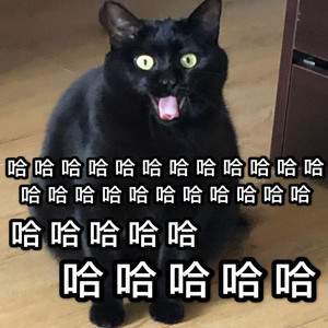 来摇起来