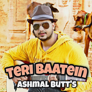 Teri Baatein