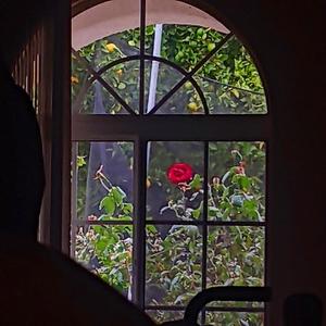 Sanctified Sensualitys