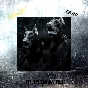 Голодный пёс