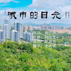 城市的目光