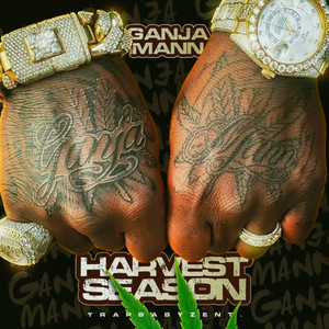 Bird Watchin (Explicit)