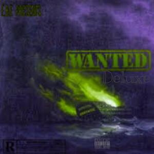 WANTED (deluxe) [Explicit]