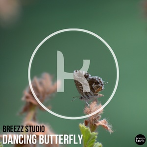 Dancing Butterfly