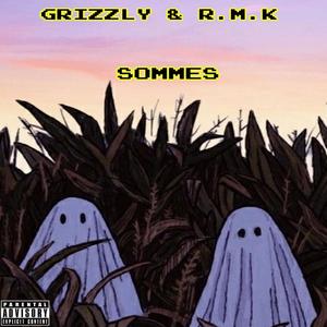 SOMMES(feat. Grizly & RMK) (Explicit)